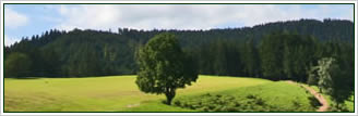 Responsabilidade Ambiental